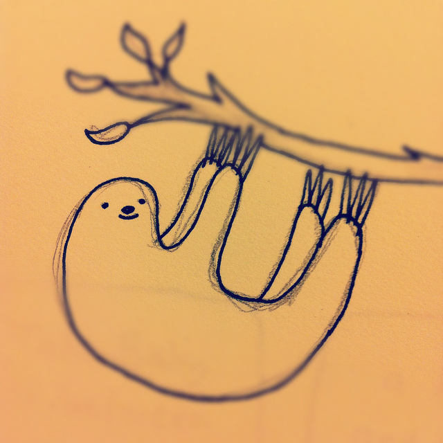 640x640 Sloth Sloth And Animal