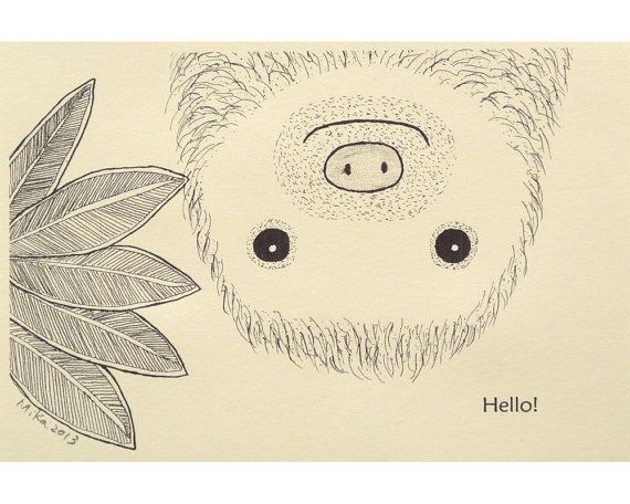 570x456 Image Result For Sloth Face Illustration Sewing