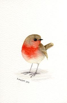 236x362 Original Robin Bird Drawing In Charcoal And Pastel