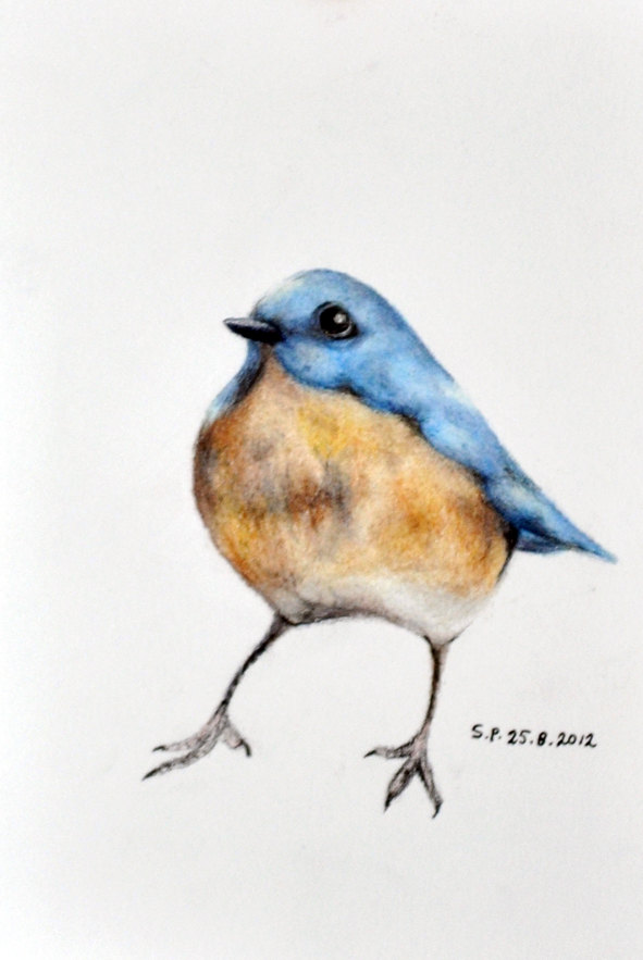 591x883 Small Blue Bird 2