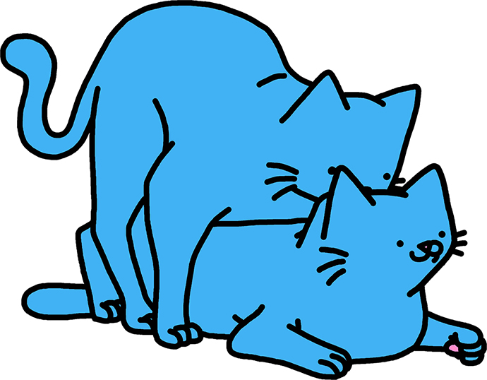 690x538 Blog Of The Week Cats And Butts By Leon Karssen