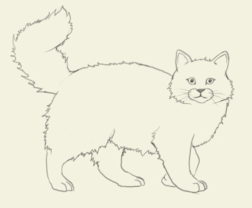 500x413 How To Draw Cat