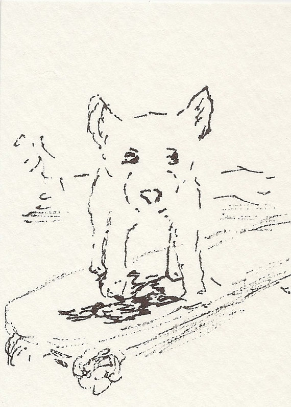 570x795 Small Dog Skateboarding In Black And White Aceo By Citrusmoonart