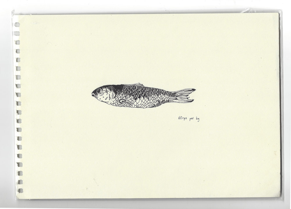 1000x719 Small Fish Of The Andaman Sea Drawing Freelance Illustrator
