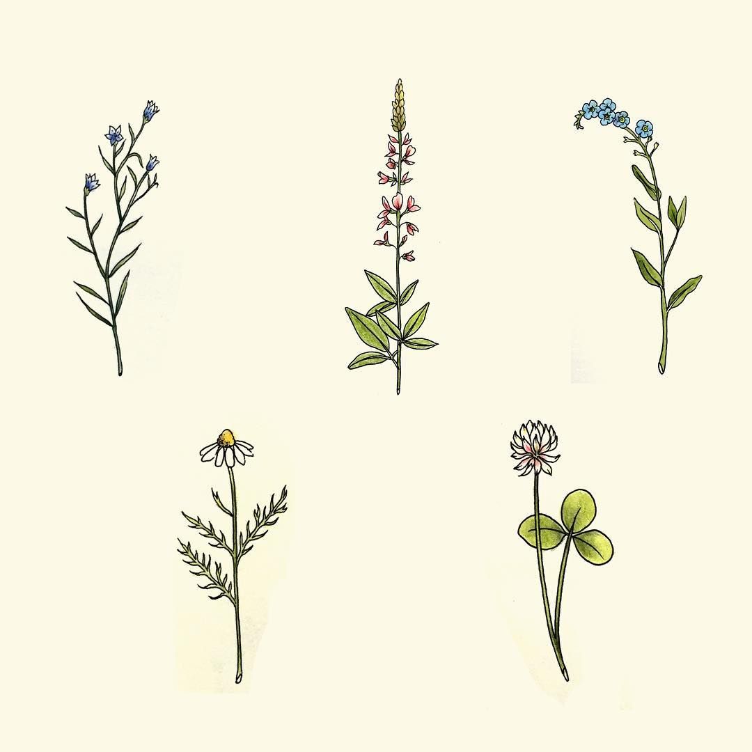 1080x1080 Small Wildflowers.