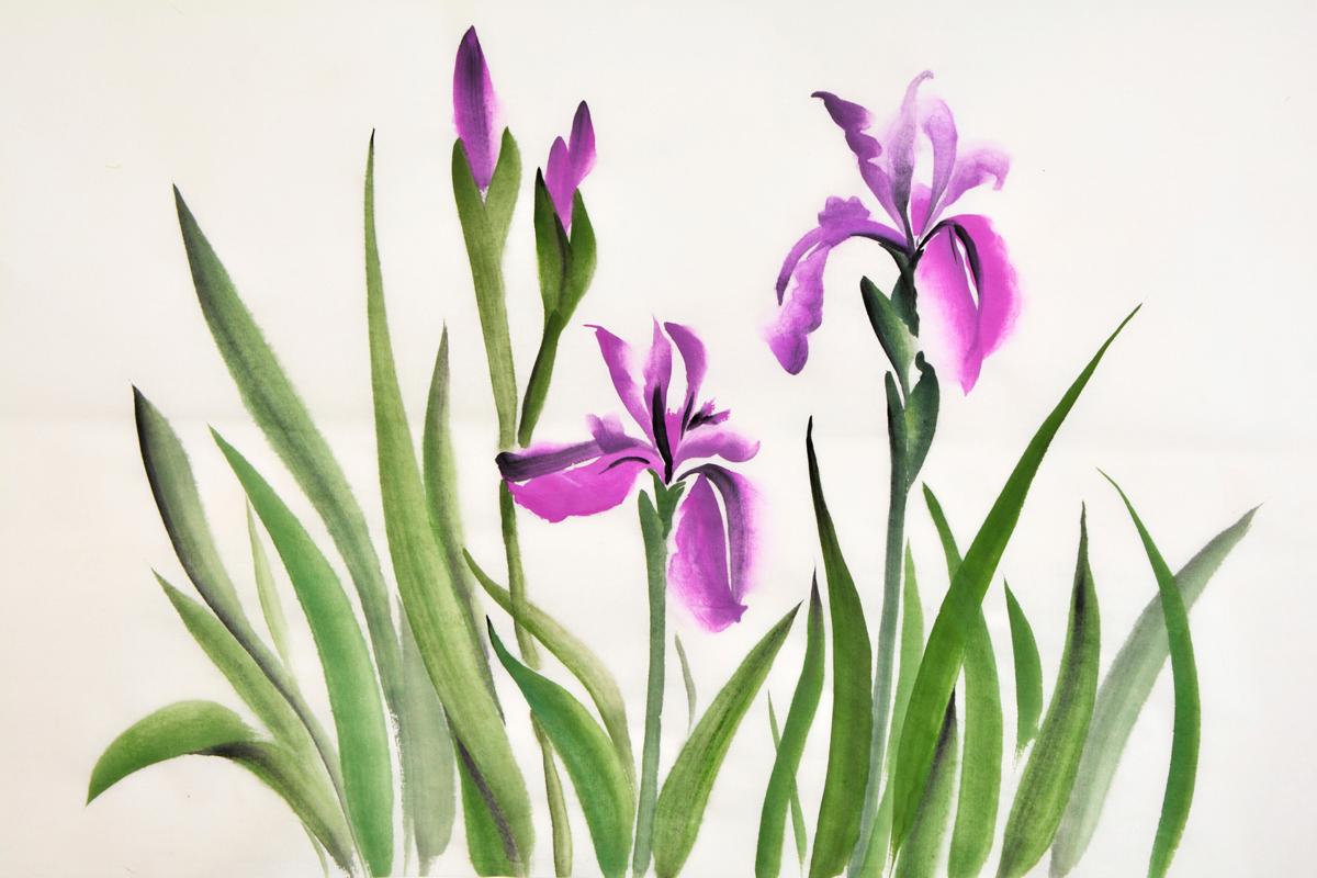 1200x800 Floral Enchantment A List Of Easy Flowers To Draw Effortlessly