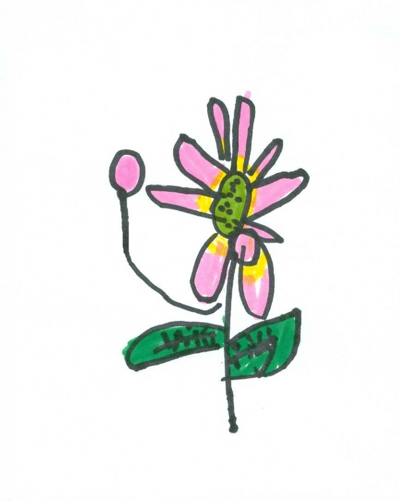 820x1024 Small Flower Drawings Art For Small Hands Drawing Flowers