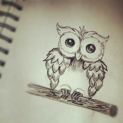 500x500 Pin By On Owl'S