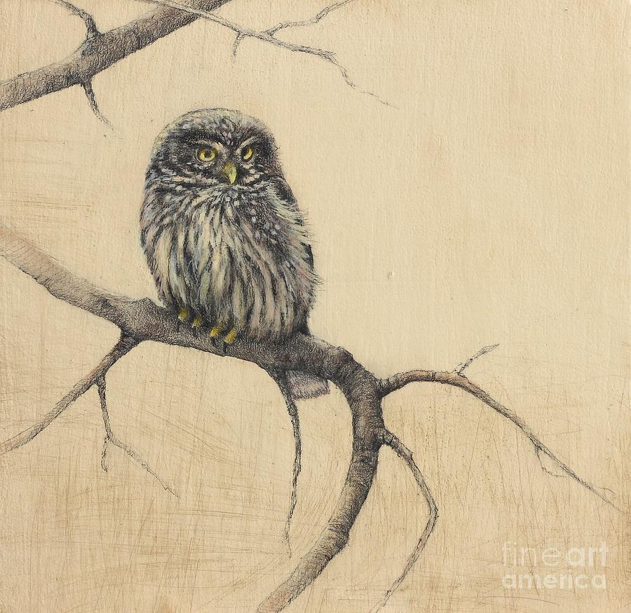 900x875 Uncategorized. Small Owl Drawing. Designfacebookcover Coloring Page