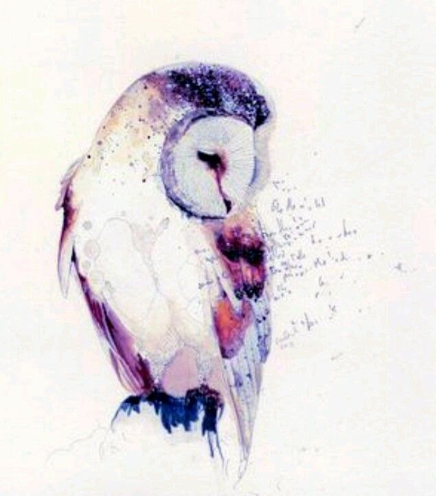 635x722 Watercolor Snow Owl Beautiful Birds Owl