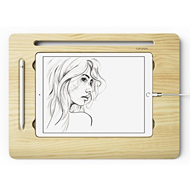 385x385 Ipad Pro Drawing Desk Ar20 00130b, [Flat Board] Canvas