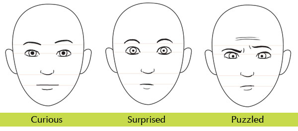 600x265 Human Anatomy Fundamentals Mastering Facial Expressions