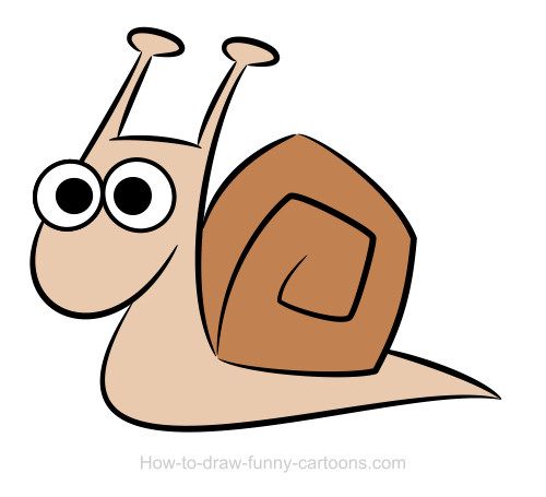 500x455 Snail Drawings (Sketching + Vector) Snail, Drawing Sketches And Draw