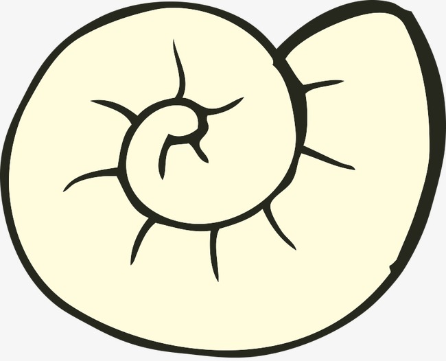 650x526 Vector Pencil Drawing Snail Shell, Vector, Hand Painted, Pencil