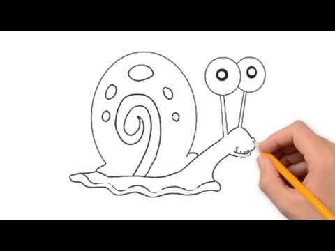 480x360 Snail Animals Pencil To Draw Step By Step
