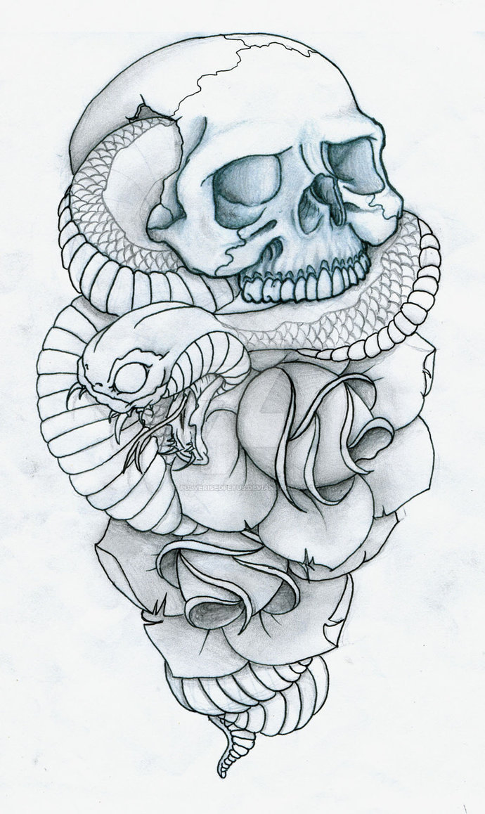 Snake And Skull Drawing at GetDrawings | Free download