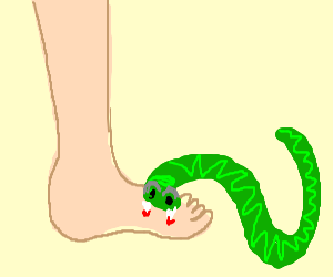 300x250 Snake Bites Foot.