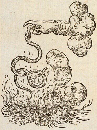 371x500 Snake Biting The Hand Of God Sacred Symbols Snake