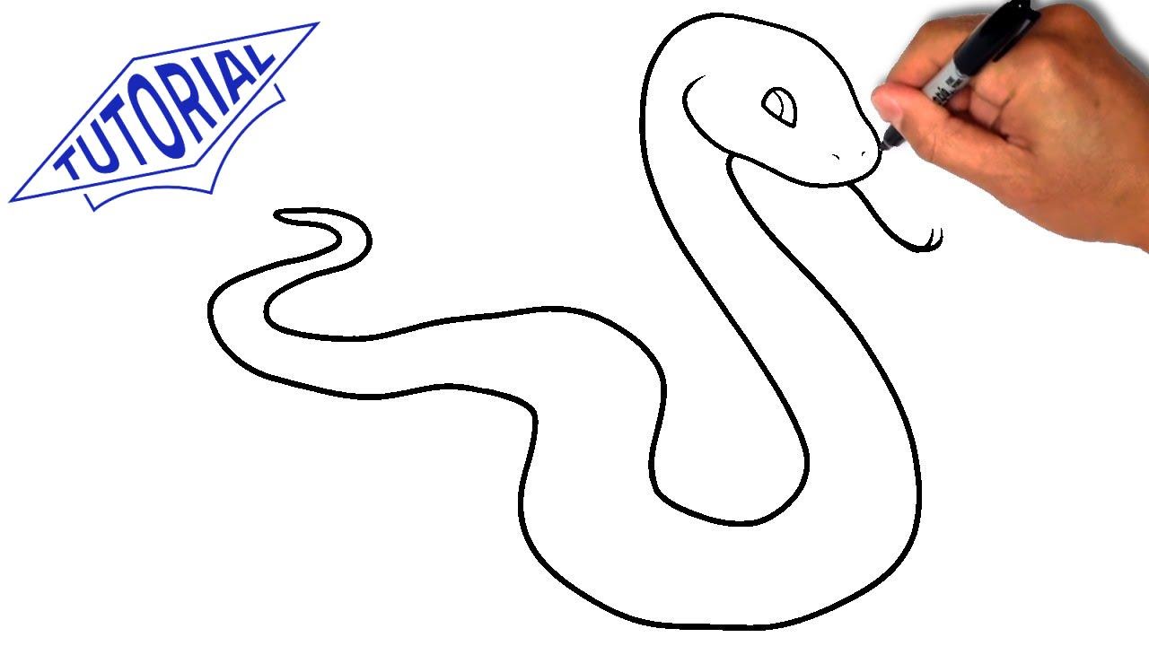 1280x720 How To Draw A Snake. Easy Step By Step Drawing Lessons For Kids