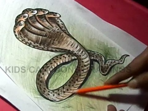 Snake Drawing at GetDrawings.com | Free for personal use Snake Drawing