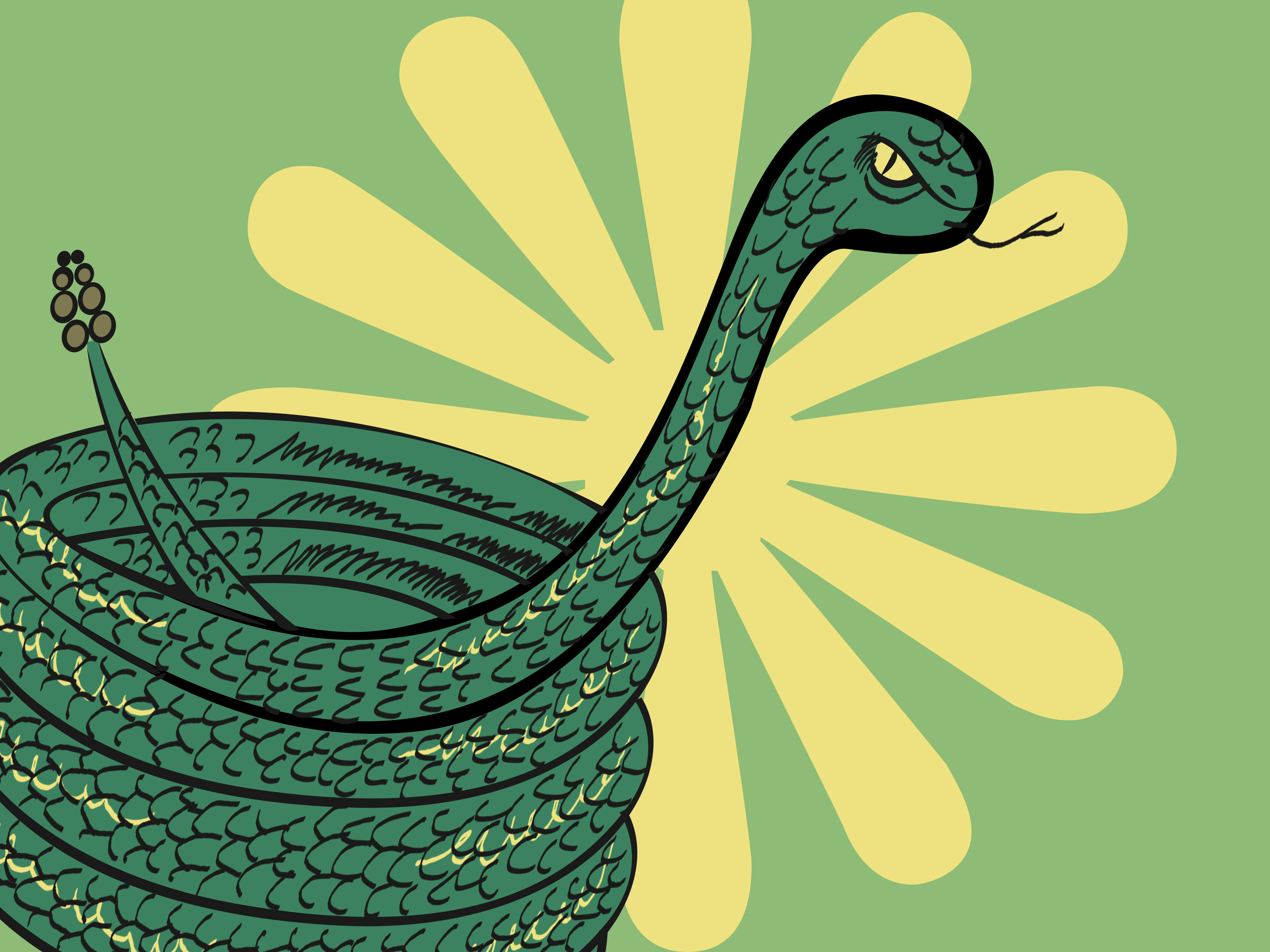 3200x2400 How To Draw A Coiled Snake 10 Steps (With Pictures)