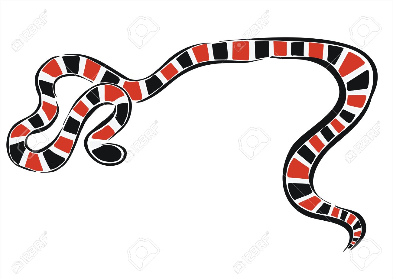 1300x923 Drawing Of A Coral Snake Royalty Free Cliparts, Vectors, And Stock