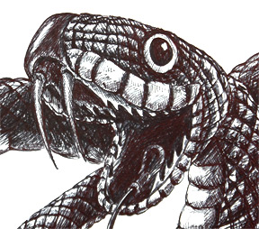 288x254 How To Draw A Snake For Chinese New Year Shoo Rayner Author