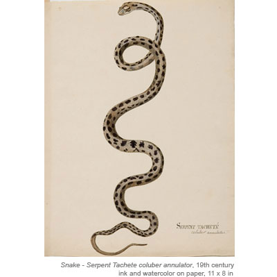 400x399 The Drawing Room