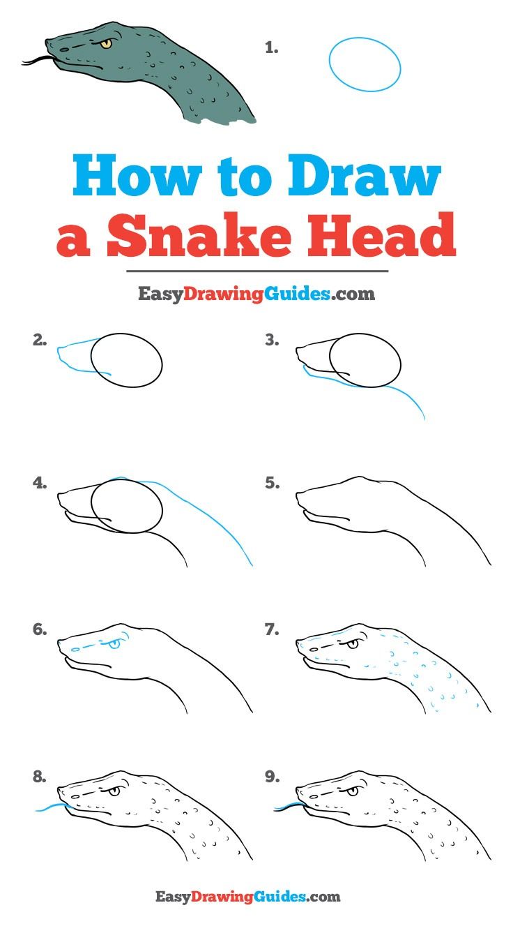 736x1327 How To Draw A Snake Head