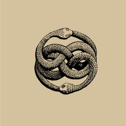500x499 Passionenera Snake Drawing, Tattoo