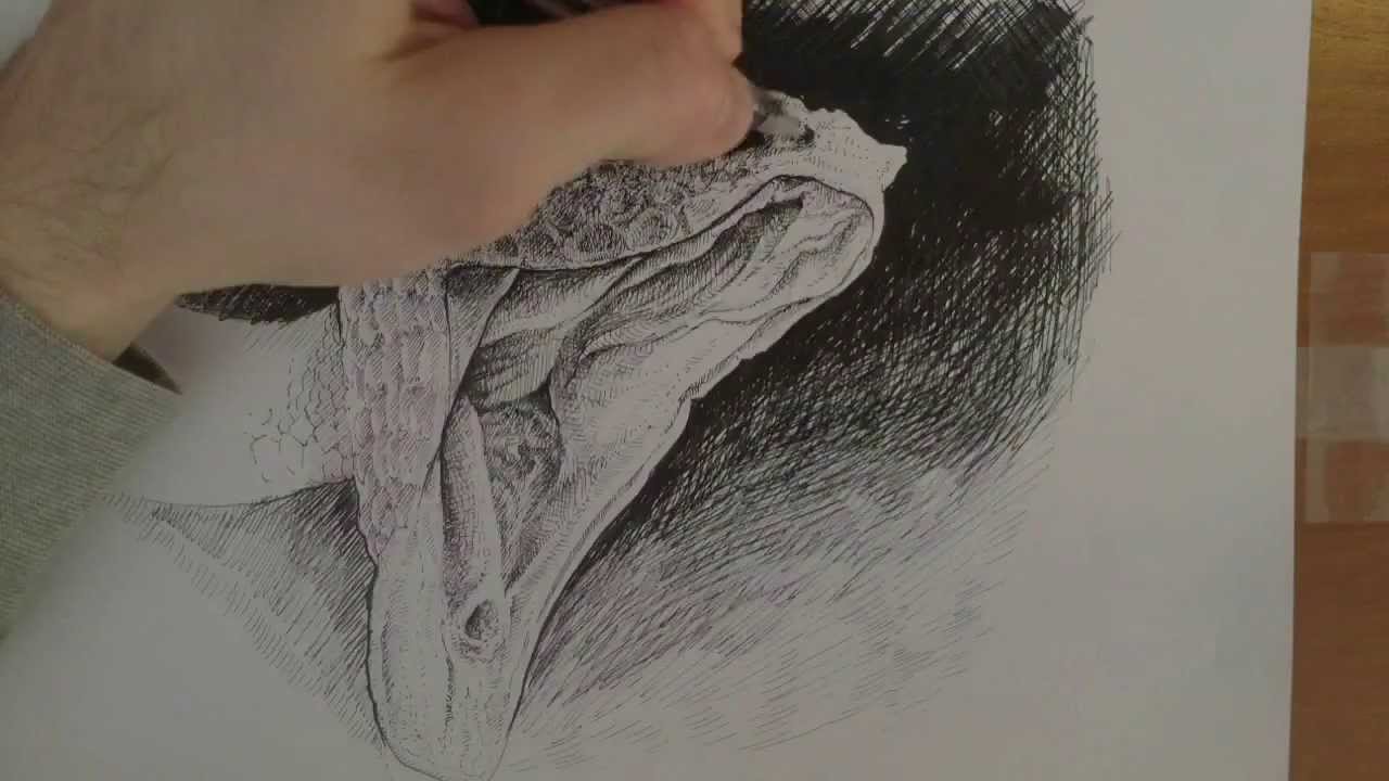 1280x720 Speed Drawing Snake With Open Mouth Judah Video