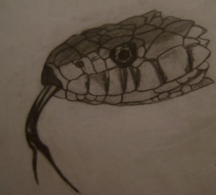 Snake Mouth Drawing at GetDrawings | Free download