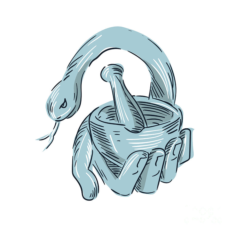 900x900 Hand Holding Mortar And Pestle Snake Drawing Digital Art By