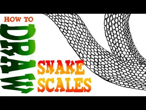 480x360 How To Draw Snake Scales Snakes Snake, Art