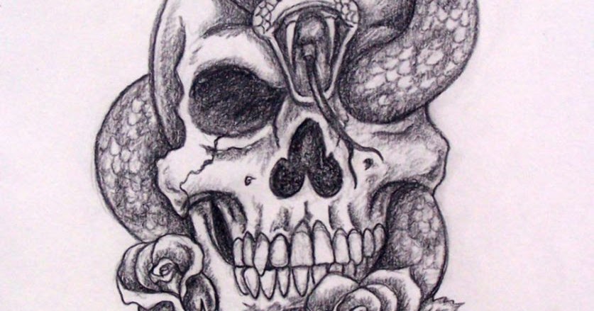 Snake Skull Drawing at GetDrawings | Free download