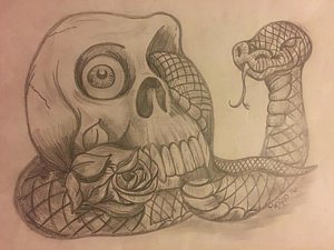 300x225 Snake Skull Drawings Fine Art America