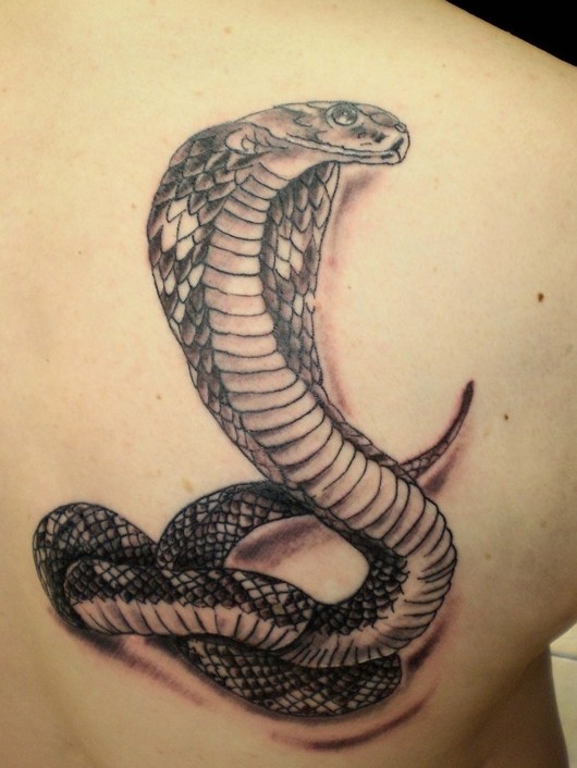 530x706 Best Snake Tattoos Collection