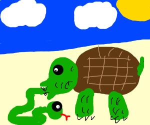 300x250 Giant Turtle With Mouth Open Eating A Snake