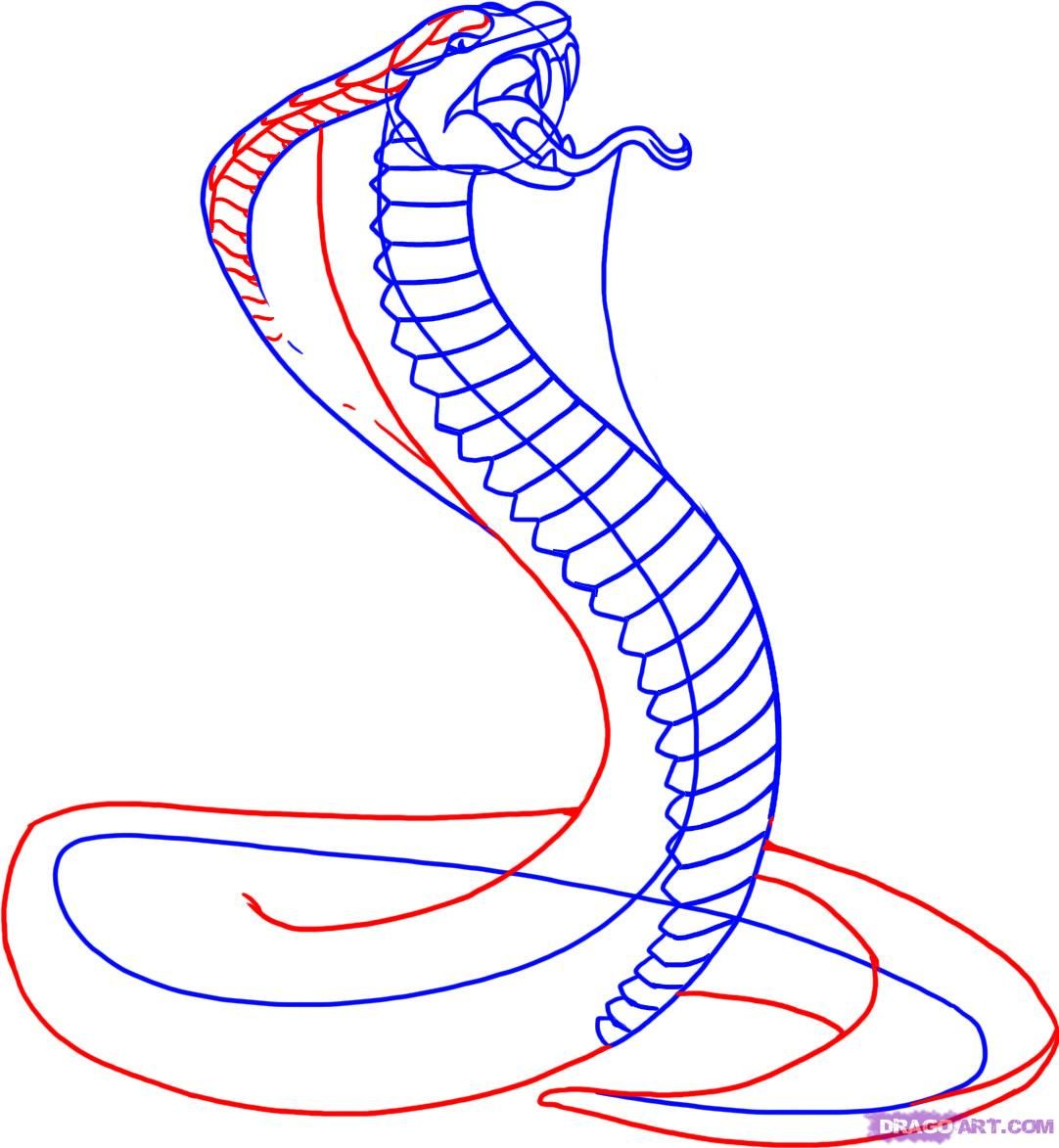 1082x1173 How To Draw A Snake What You Want Your Kids To Do In Art Class