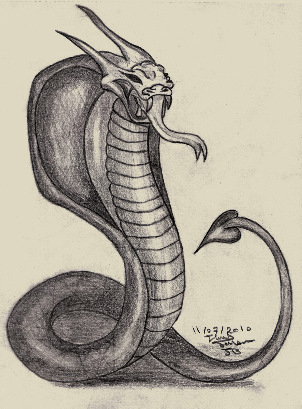 1000x1357 Pencil Sketching Snake Pencil Sketches Of Snakes Pencil Drawings