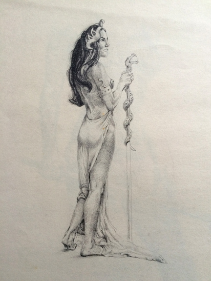 432x576 Of Snakes Drawing