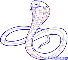 236x208 Snake Drawings