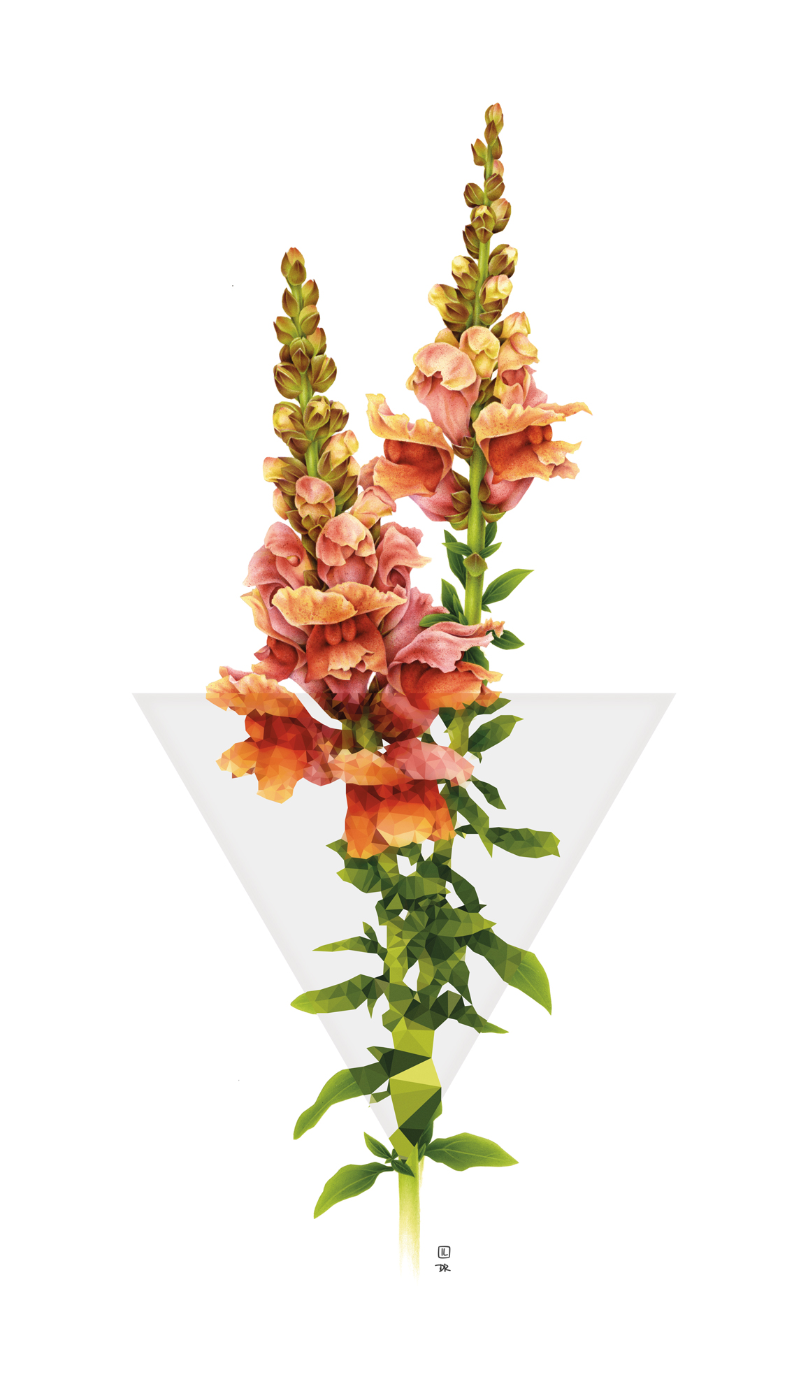 1156x2000 Irene Laschi Amp David Davidopoulos