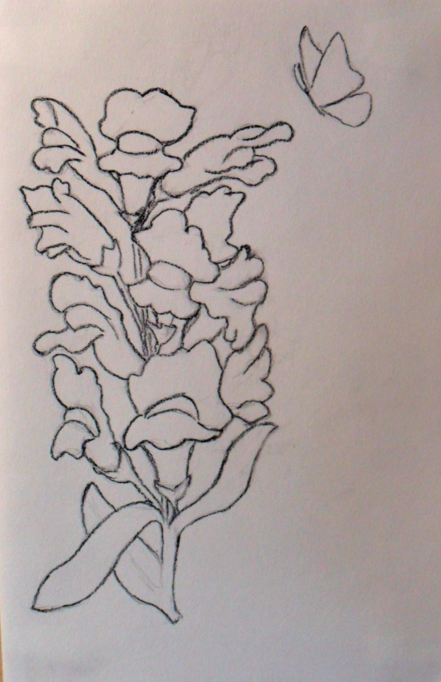 Snapdragon Drawing at GetDrawings | Free download