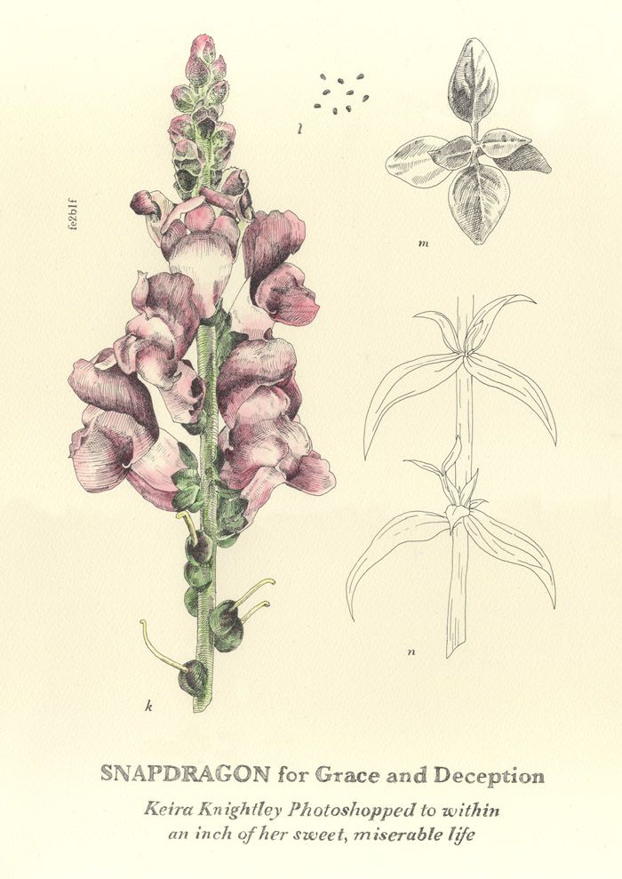 700x989 Snapdragon.8c2503ff.jpg Tattoos Tattoo