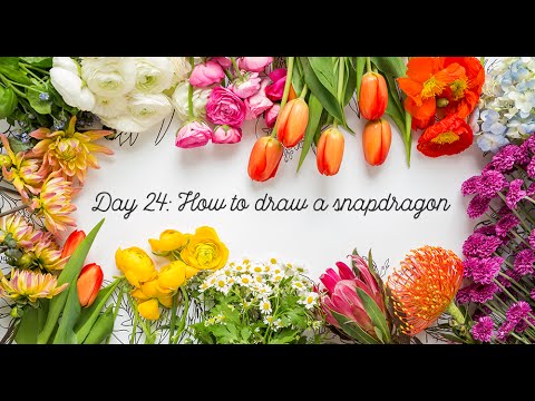 480x360 Day 24 How To Draw A Snapdragon