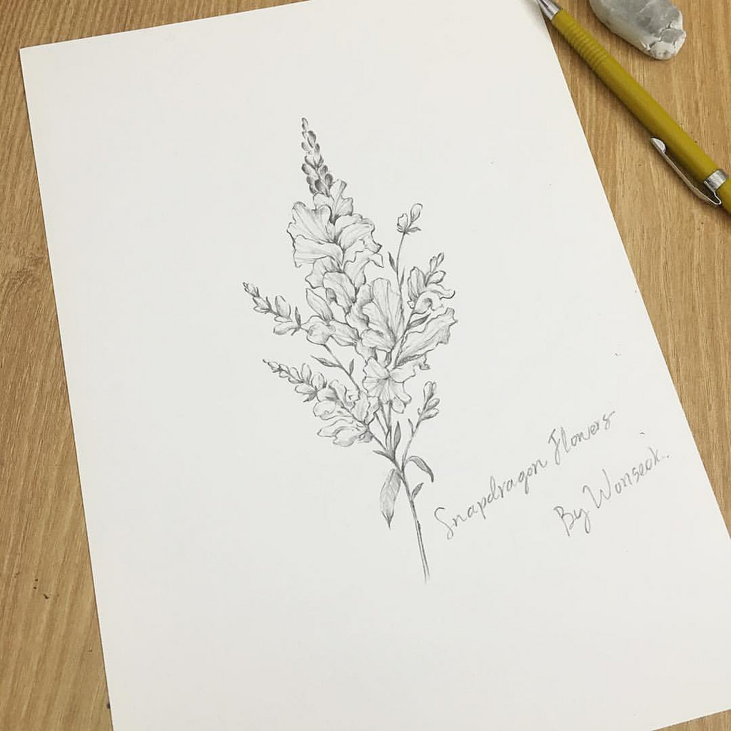 1024x1024 Snapdragon Flower Tattoo Group