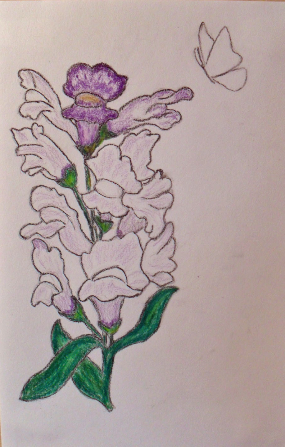 918x1441 Snapdragons And Butterflies It's A Whole New World