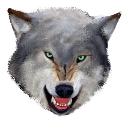 430x408 Tiny Wolf Drawing Snarling Wolf By Setanduival Tattoos