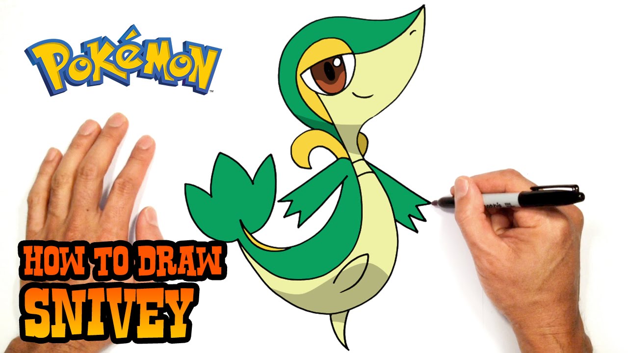 1280x720 How To Draw Snivy Pokemon